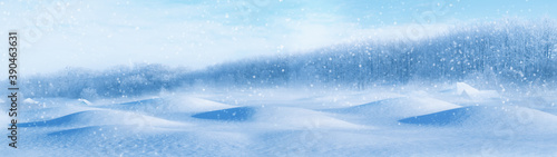 Banner winter background snowy glade and forest with roofs of houses