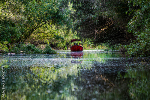 Landscapăe in Danube Delta