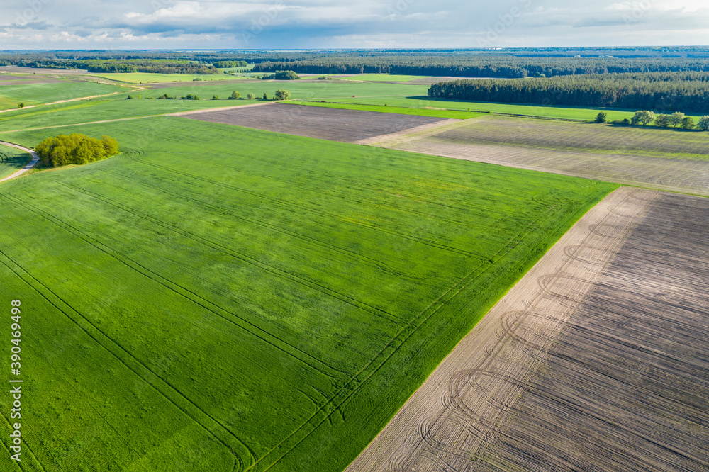 Obraz premium Crop and agriculture concept, drone flying over field countryside at sunny cloudy spring time. Wonderful aerial video for ecological concept