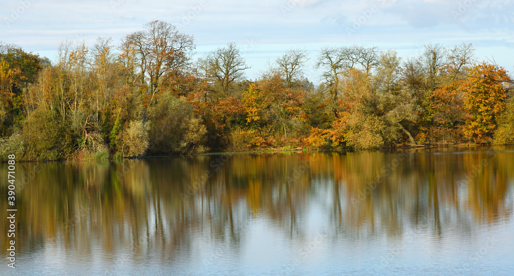 Trees in Autumn colours with water and reflections Trees in Autumn colours with water and reflections