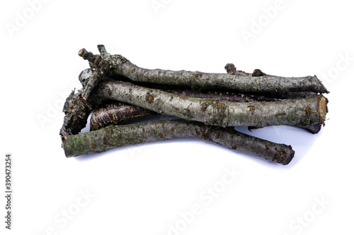 tree branches isolated on white background