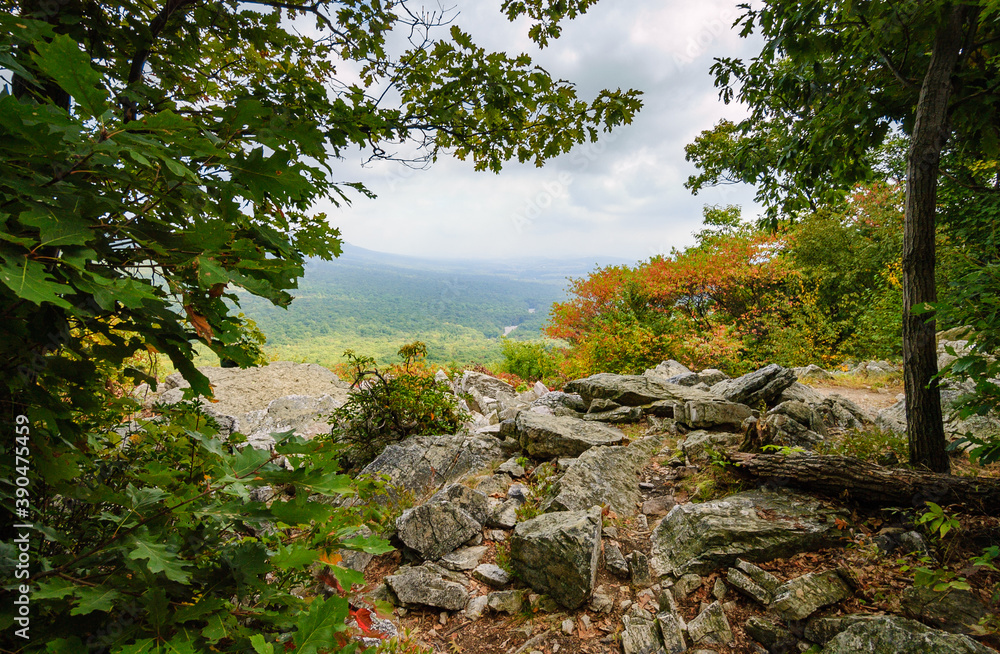 Fototapeta premium Hawk Mountain Sanctuary