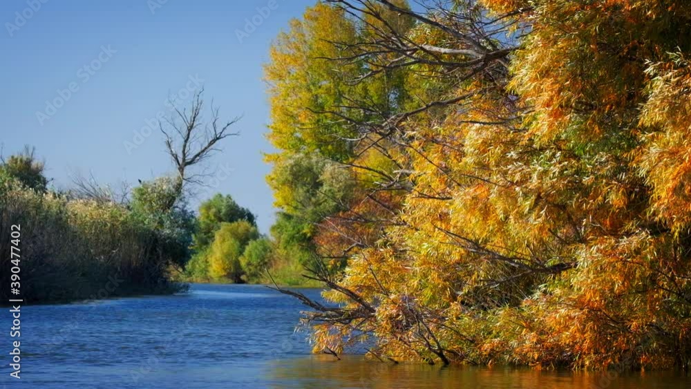 River at sunny autumn day in Astrakhan Region in Russia River at sunny autumn day in Astrakhan Region in Russia
