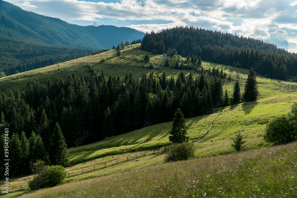 Landscape summer view of carpathian mountains near Verkhovyna, Ukraine.