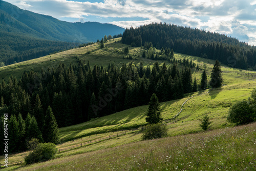 Landscape summer view of carpathian mountains near Verkhovyna  Ukraine.
