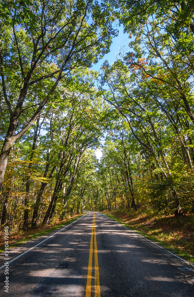 Obraz premium Shenandoah National Park