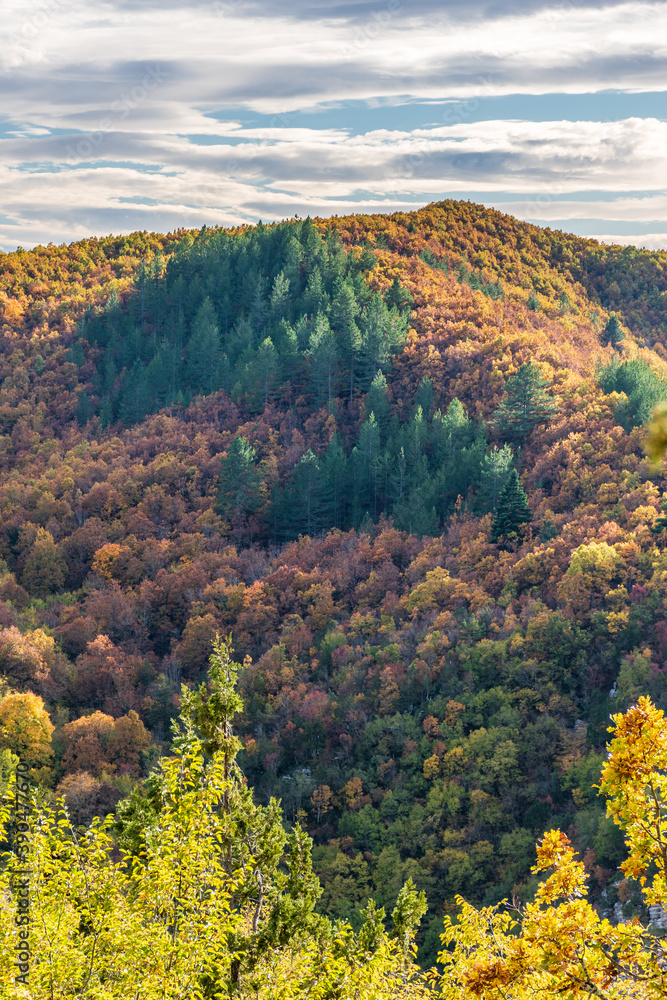 Tymfi mountain  with fall colors near tsepelovo  in Zagori Epirus, Greece.