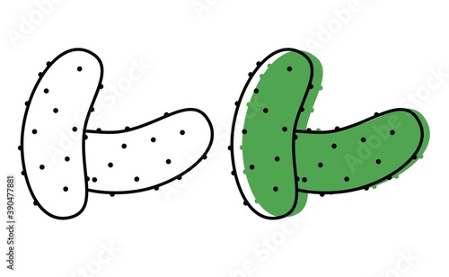 Natural vegetables from the garden. eco products. vector cucumber icons in flat style.