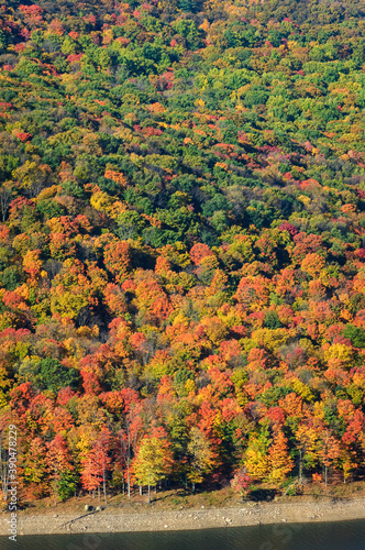 Autumn at the Allegheny National Forest