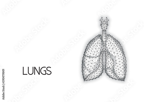Human anatomical lungs made of lines and dots isolated on white background.