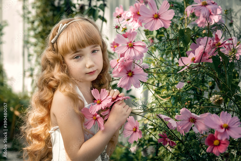 beautiful 10-year-old girl with thick curly long blonde hair with pink chamomile flowers. Little gardener among the flowers beautiful 10-year-old girl with thick curly long blonde hair with pink chamomile flowers. Little gardener among the flowers