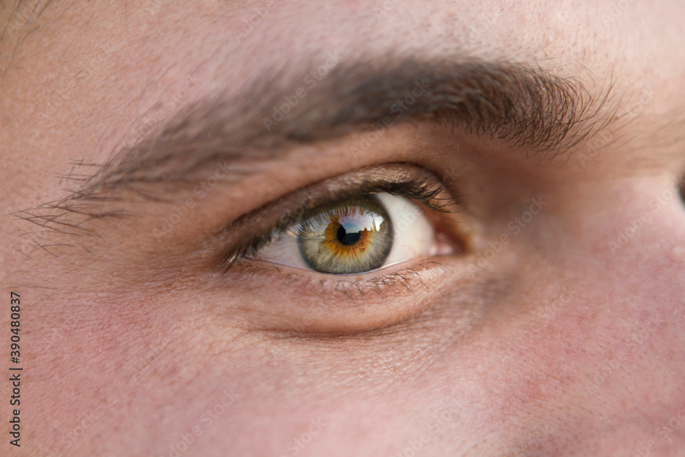 Fototapeta premium perfect eye macro in a sterile environment