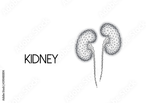 Polygonal human kidneys made of black lines and dots isolated on white background.