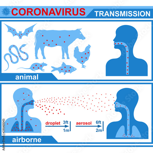 Healthcare infographic elements. Animal transmission of coronavirus. Airborne transmission of coronavirus. Vector illustration.