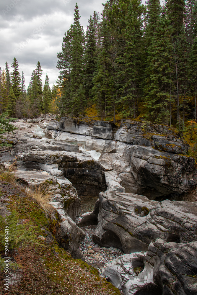 mountain river in the forest at Maligne Canyon at Jasper National Park