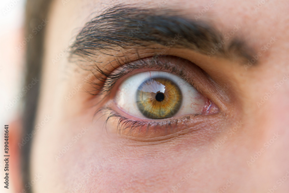 Fototapeta premium perfect eye macro in a sterile environment