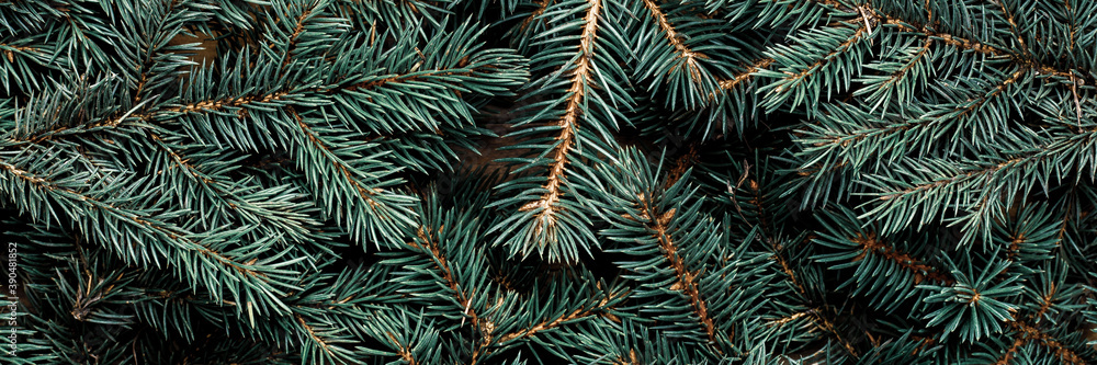 Christmas tree, branches. Christmas, New Year. Wallpaper. Banner. Flat lay, top view