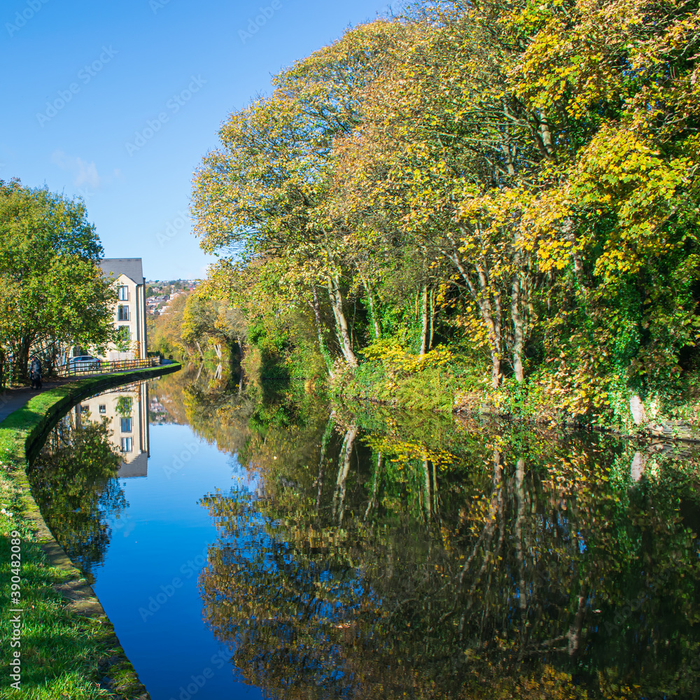 Autumn along the canal