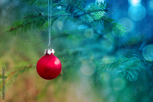 Wallpaper Mural Red Christmas glass ball on a Christmas tree branch, close-up, soft selective focus. Preparing for the new year and christmas
 Torontodigital.ca