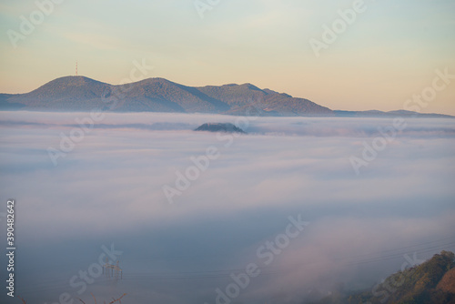 Morning fog landscape