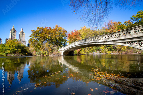 The Bow Bridge over the Lake in Central Park  