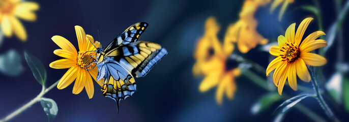 Small yellow bright summer flowers and bee  on a background of blue and green foliage in a fairy garden. Macro artistic image. Banner format.
