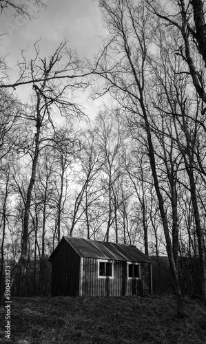 Old cabin in the woods © Dag