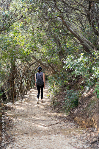 Hiker on a walking trail in the Blue mountains