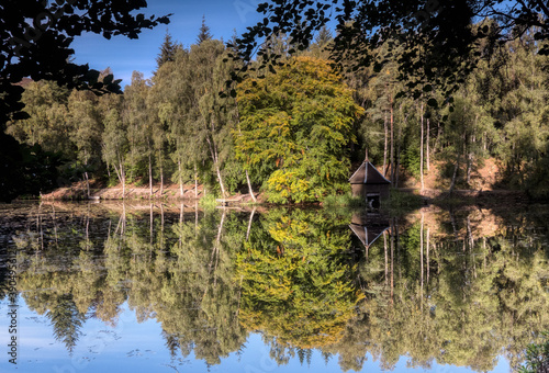 Trees reflected in a lake during fall. photo