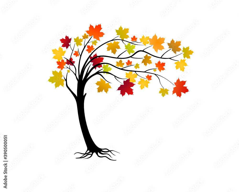 Vector Maple Tree With Colorful Leaves