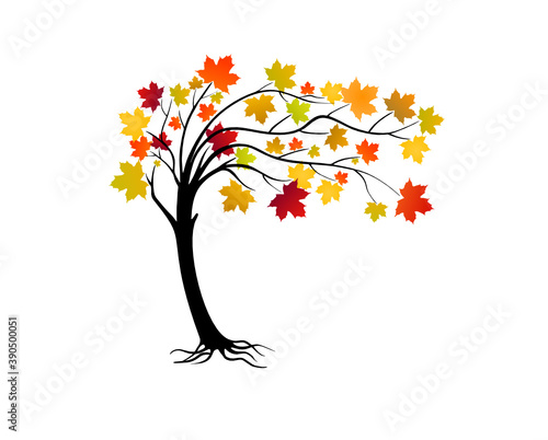 Vector Maple Tree With Colorful Leaves