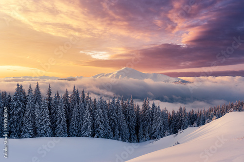 Fantastic winter landscape in snowy mountains glowing by morning sunlight. Dramatic wintry scene with snowy trees and hight mountain peaks peeping out of the fog at sunrise. Christmas background