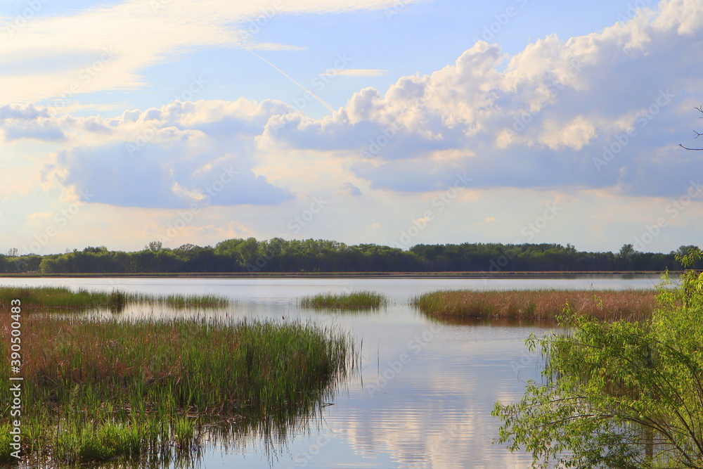 Marshy lake