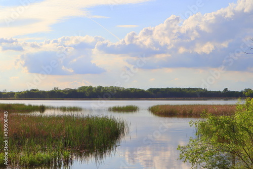 Marshy lake