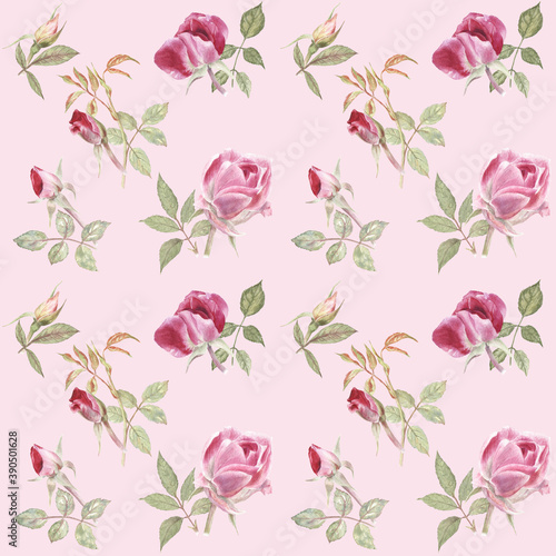 Floral seamless pattern with classic roses on a light pink background. Watercolor painting. This design is good for fashion, fabric and home decor, romantic occasions, wrapping paper and more. 