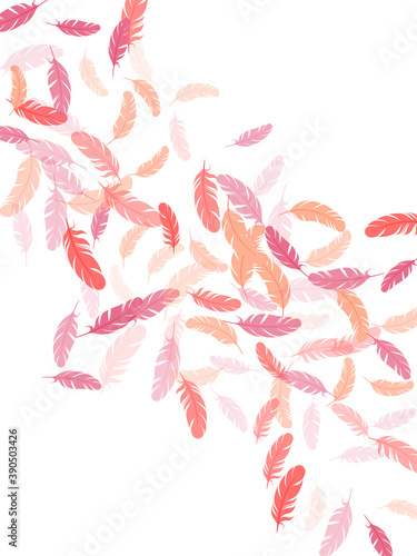 Detailed majestic feather on white design.