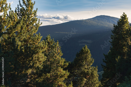 nice natural landscape of mountains with pine trees around in the foreground