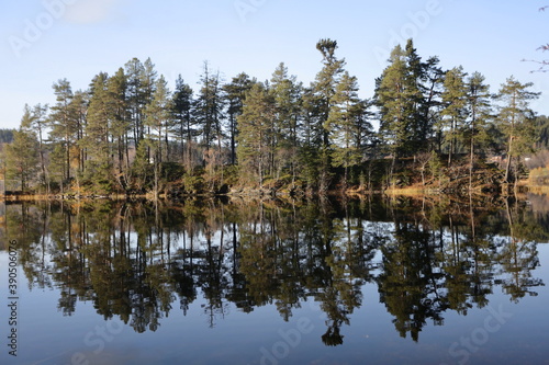 Island with green wood and its reflection in blue lake water of Scandinavia nature.Blue sky as background. 