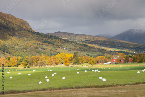 View from Drivdalen, Oppdal, Trondelag, Norway photo