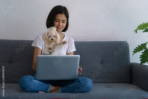 asian young women playing with small dog while working with laptop