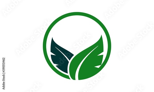 brand leaf icon nature vector