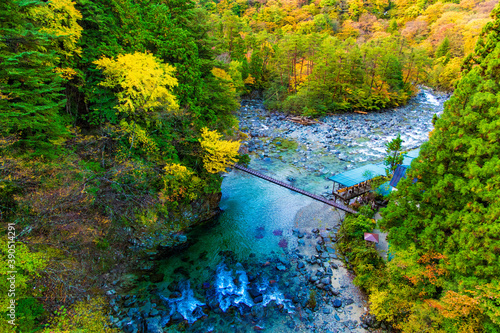 紅葉のやじろ橋