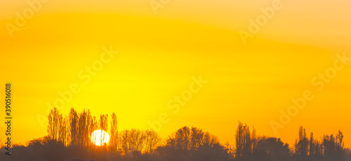 Trees in autumn colors in a field at sunrise under a blue bright sky in sunlight at fall, Almere, Flevoland, The Netherlands, November 5, 2020