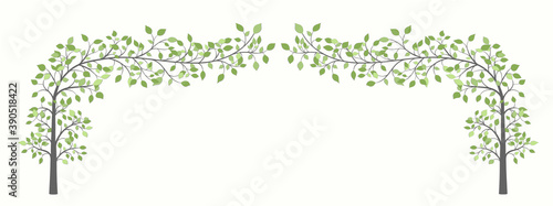 Arch of two trees with green leaves