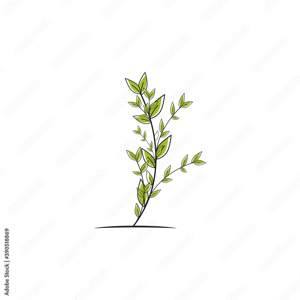 Fototapeta premium Beauty Florist botanical flower vector