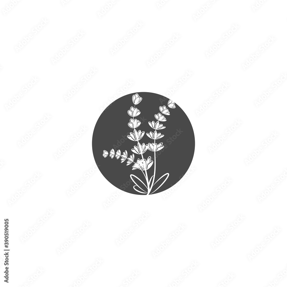 Beauty Florist botanical flower vector Beauty Florist botanical flower vector