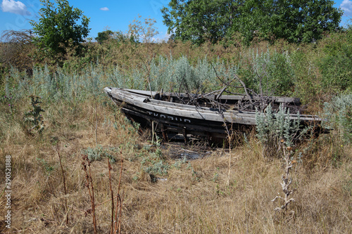 An old boat overgrown with grass