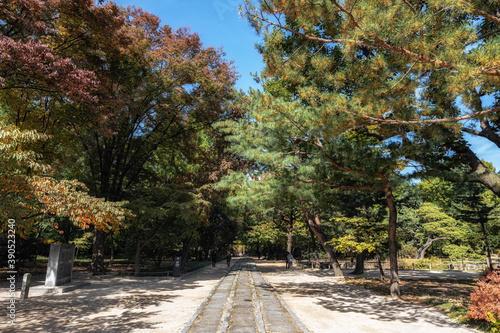 jongmyo shrine road