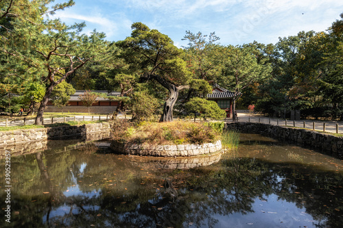 Shrine and pond in Jongmyo Shrine