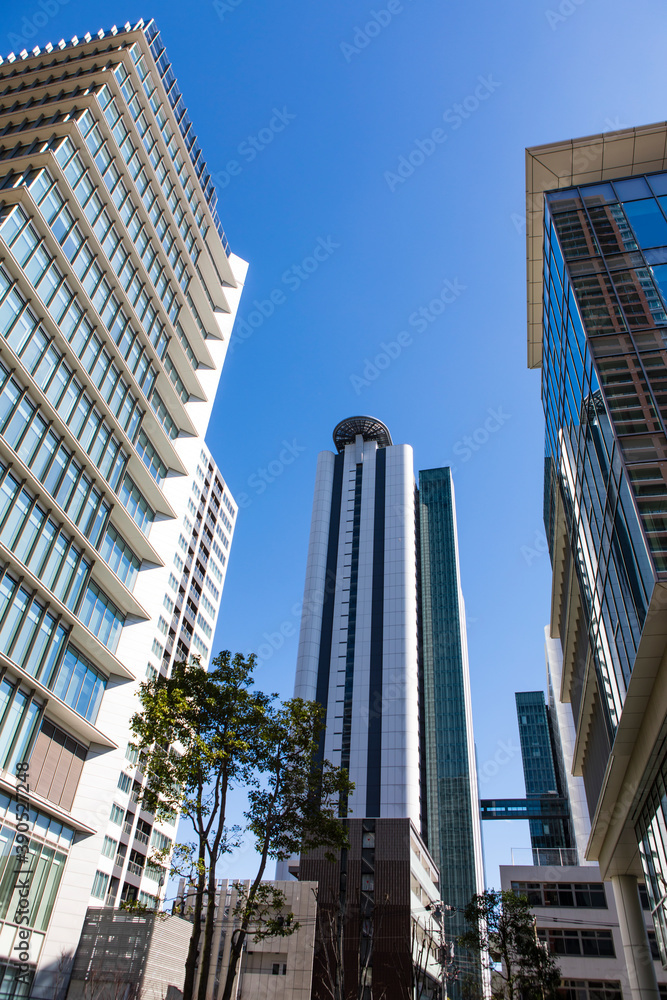 Obraz premium 武蔵小杉の高層マンション群